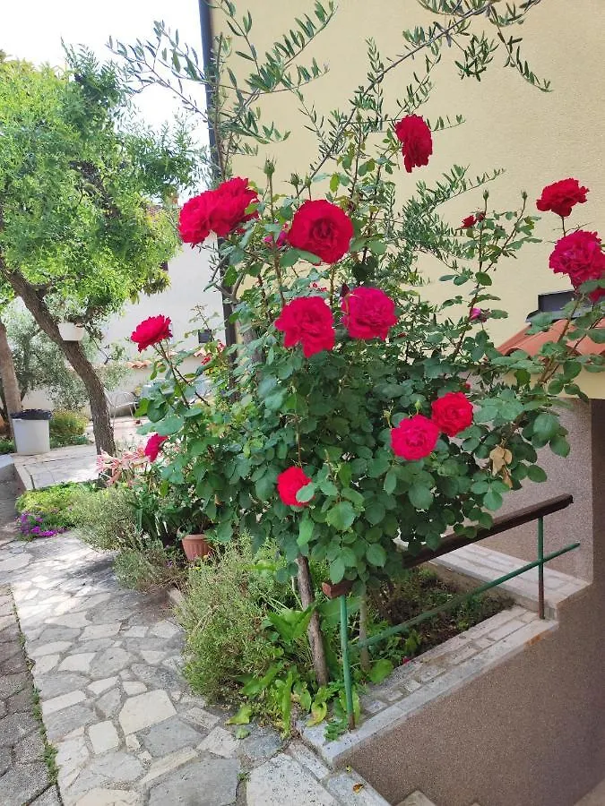 Apartment Olga Rovinj